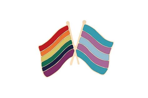 Rainbow And Trans Flags Pin Lgbtq Flags Australia
