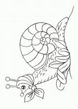 Hugo Escargot Promenade Greatestcoloringbook Lescargot sketch template