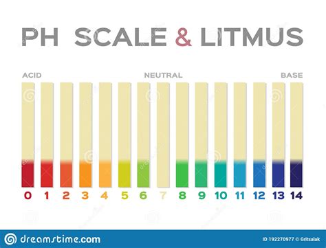 Ph Scale Litmus Paper Color Chart Vector Illustration