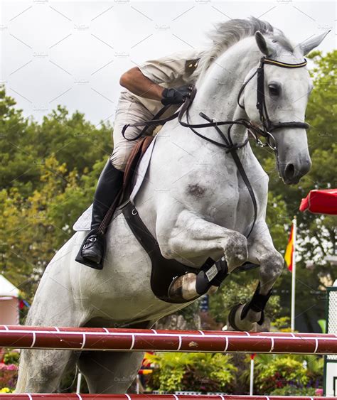 horse jumping competition high quality sports stock  creative