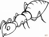 Ant Clipart Coloring Sniffing Printable Pages Wikiclipart sketch template