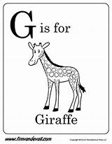Giraffe Coloring Letter Printable Printables Alphabet Pages Tim Timvandevall Preschool sketch template