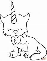Coloring Pages Caticorn Printable sketch template
