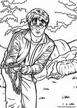 Potter Coloring Harry Pages Frees Printable Color sketch template