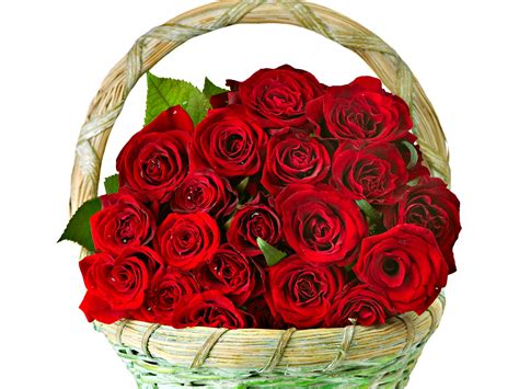 roses flowers bouquet basket love romance life happiness couple wallpapers hd desktop