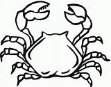 Crab Coloring Pages Printable Kids Hermit Christmas Template Coloringbay Turtle sketch template