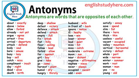antonyms english study