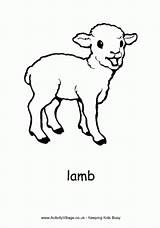 Lamb Colouring Pages Sheep Coloring Lambs Realistic Drawing Kids Farm Print Activity Animal Sheets Village Template Animals Pdf Activityvillage Spring sketch template