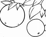 Lemons Noisy Clipartmag sketch template
