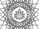 Coloring Marijuana Leaf Book Cannabis sketch template