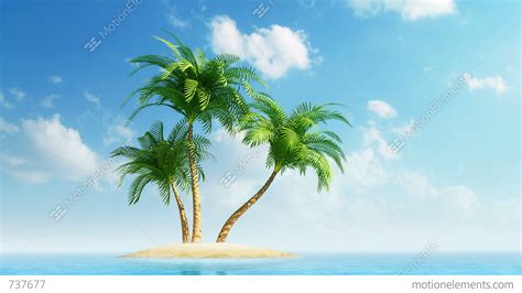 growing palm trees  island  sea stock animation
