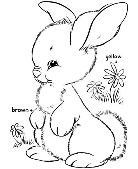 easter bunny coloring pages bluebonkers cute bunny  printable easter bunny coloring page