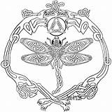 Pages Coloring Celtic Dragon Getcolorings Adults sketch template
