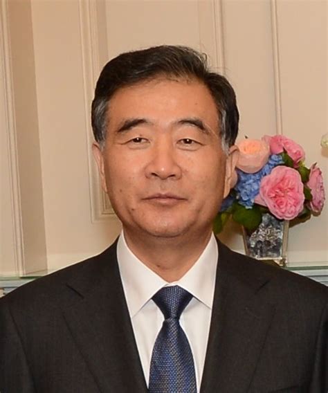 Wang Yang Politician Wikipedia
