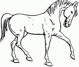 Horse Coloring Pages Color Printable Horses Kids Colouring Print Clipart Walking Realistic Fun Quarter Riding Girl Getcolorings Pinto Draft Cliparts sketch template