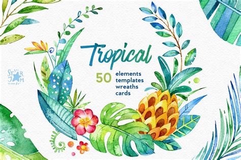 tropical watercolour collection ~ illustrations