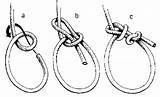 Bowline Knots Bondage Knot Bdsm Basics Hitch Tie Double Rope Tying Bight Half End Diy sketch template