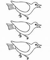 Bird Trace Patterns Popular Coloring Coloringhome Library Clipart Perching sketch template
