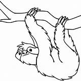 Sloth Toed Xcolorings sketch template