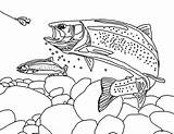 Trout Coloring Printable Pages Rainbow Drawing Fish Fishing Book Template Sheets Landscape Kids Fly Adult Drawings Patterns Adults Print Animals sketch template