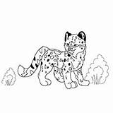 Leopard Coloring Pages Snow Baby Printable Drawing Simple Executed Toddler Getdrawings sketch template