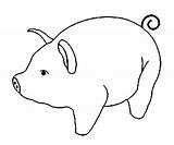 Pig Coloring Pages Kids sketch template