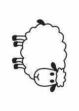 Zum Schafe Ausdrucken Malvorlagen Schaf Malvorlage Malen Hirte Vorlagen Artikel Nutrition Von Coloring Sheep sketch template