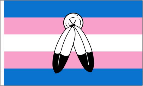 two spirit transgender flag all indigenous and aboriginal flags