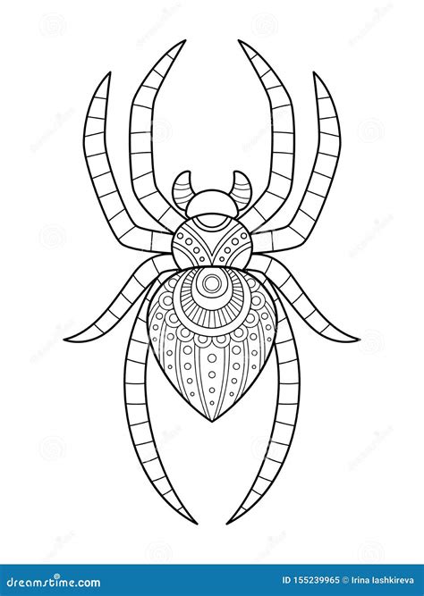 adult coloring page  cute spider  halloween stock illustration