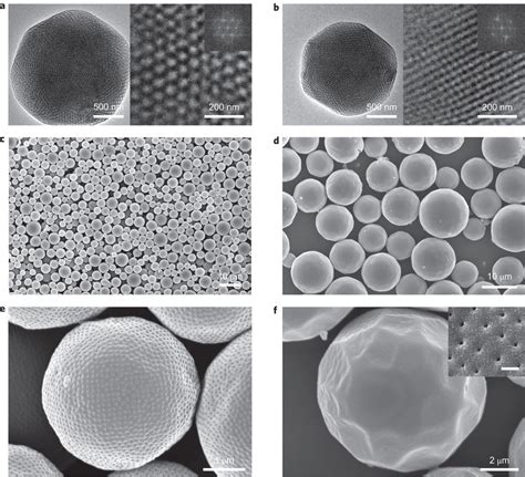 representative sem  tem images   polymer cubosomes  tem  scientific diagram