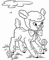 Easter Coloring Pages Lamb Printable Lambs Cute Sheets Print Sheep Drawing Baby Kids Clip Line Fluffy Color Bluebonkers Kindergarten Sheet sketch template