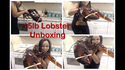 lb lobster  main lobster   unboxing  days  seafood day