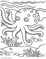 Coloring Sea Animals Pages Octopus Ocean Printable Print Color sketch template