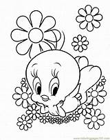 Coloring Pages Tweety Bird Disney Flowers Flower Cartoon sketch template
