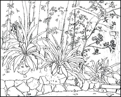 view  nature coloring pages  adults png colorist
