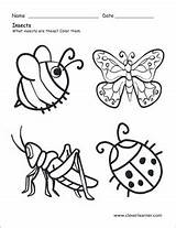 Insects Insect Worksheets Preschool Worksheet Coloring Sheet Science Bugs Color Animals Sheets Cleverlearner Six Legs Spring Preschools Choose Board sketch template