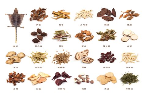 Chinese Herbal Medicine — Good Life Acupuncture And Herbs