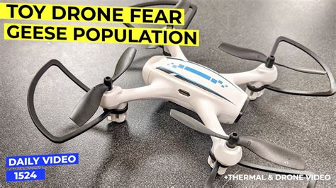 toy drone voyeurism spying fear canada geese population youtube