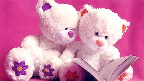 teddy bears  book  pink background hd teddy bear wallpapers hd