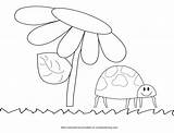 Bug Ladybird Bugs Insect Grass Preschoolers Insects Paintingvalley sketch template