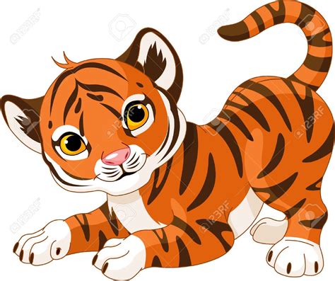 tiger cub clipart clipground