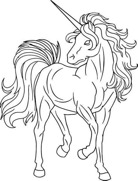 unicorn coloring page coloring book  coloring pages