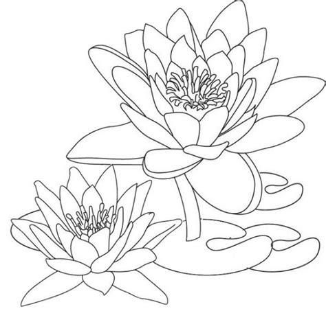 lotus coloring pages printable  coloring sheets detailed