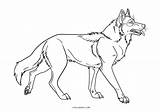 Wolf Realistic sketch template