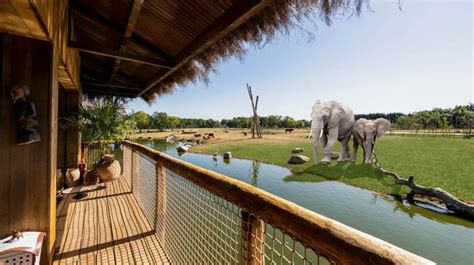 anticipated luxury lodges set  open  uk safari park  april  manc