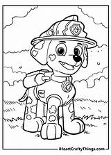 Pages Zuma Marshall Pawpatrol sketch template