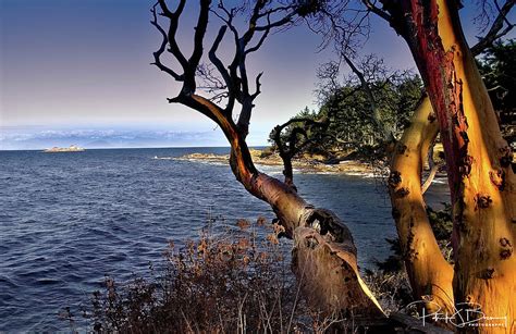 Gabriola Island Photograph By Patrick Boening Pixels