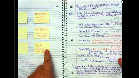 cornell notes science notebook youtube