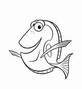 Nemo Pages Finding Coloring Color Library Clipart Friends sketch template
