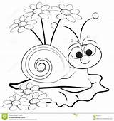Snail Coloring Daisy Kids Pages Snails Stock Getcolorings Royalty Photography Printable Illustration Print Color Child Preview sketch template